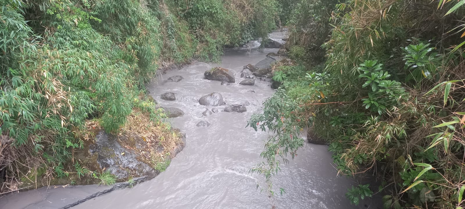 Río Anambío vista 1